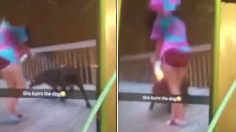 Σάλος με βίντεο που δείχνει έφηβη να βάζει φωτιά σε σκύλο για να… διασκεδάσει (βίντεο)